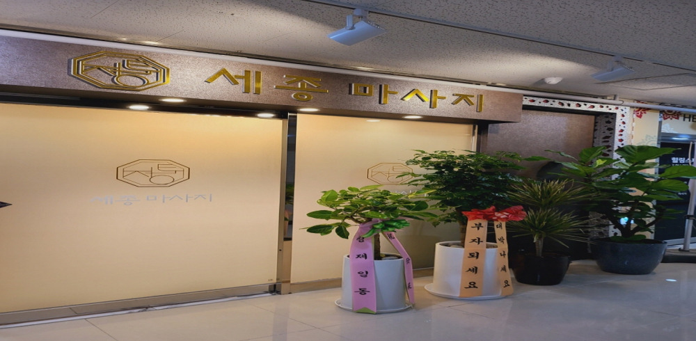 정통 세종마사지 (세종나성) - 충남 마사지