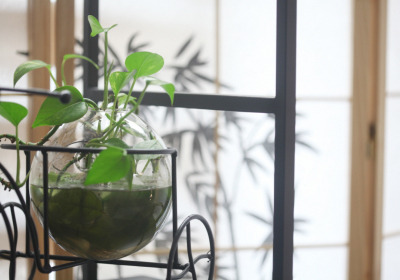 자도르스웨디시 (위례) 매장 사진 2