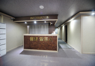용문 알프스 (용문역) 매장 사진 2