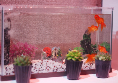 상해중국전통아로마 (여주) 매장 사진 4