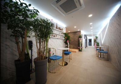 봄테라피 (역삼) 매장 사진 3