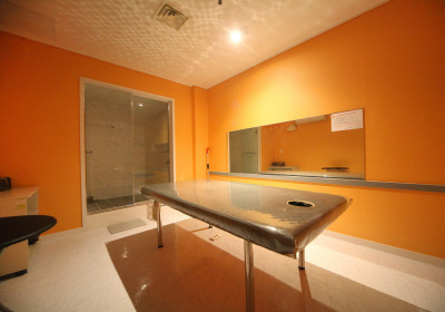 꽃테라피 (성정) 매장 사진 6