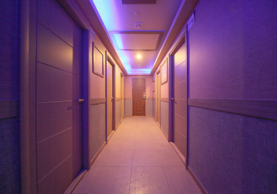 스텔라스웨디시 (정발산역) 매장 사진 3