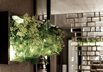 연테라피 (배산역) 매장 사진 7